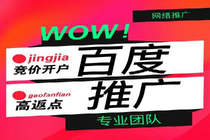 SEM搜索引擎优化实战案例：从失败到成功的优化历程